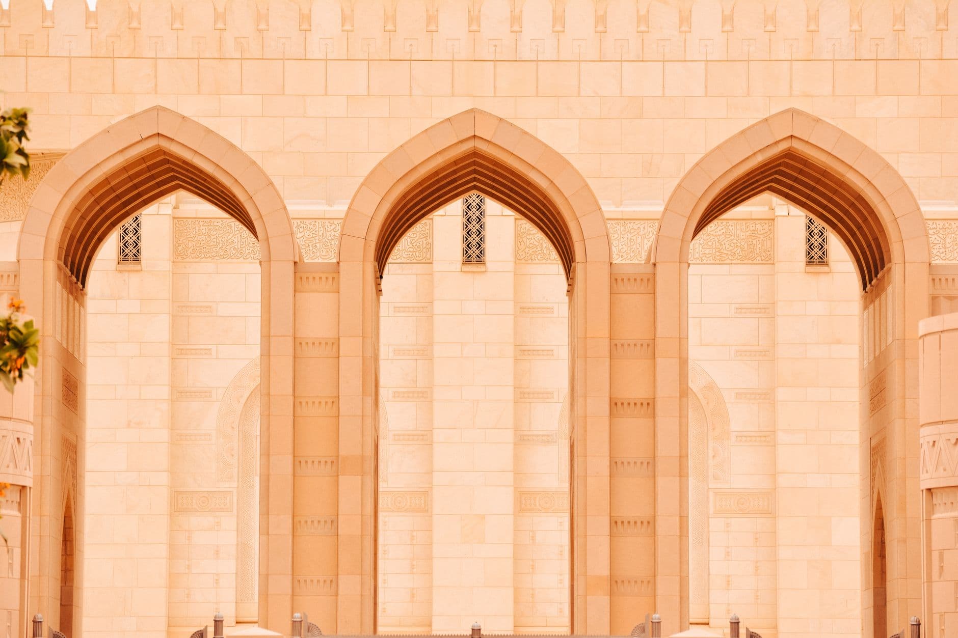 Muscat