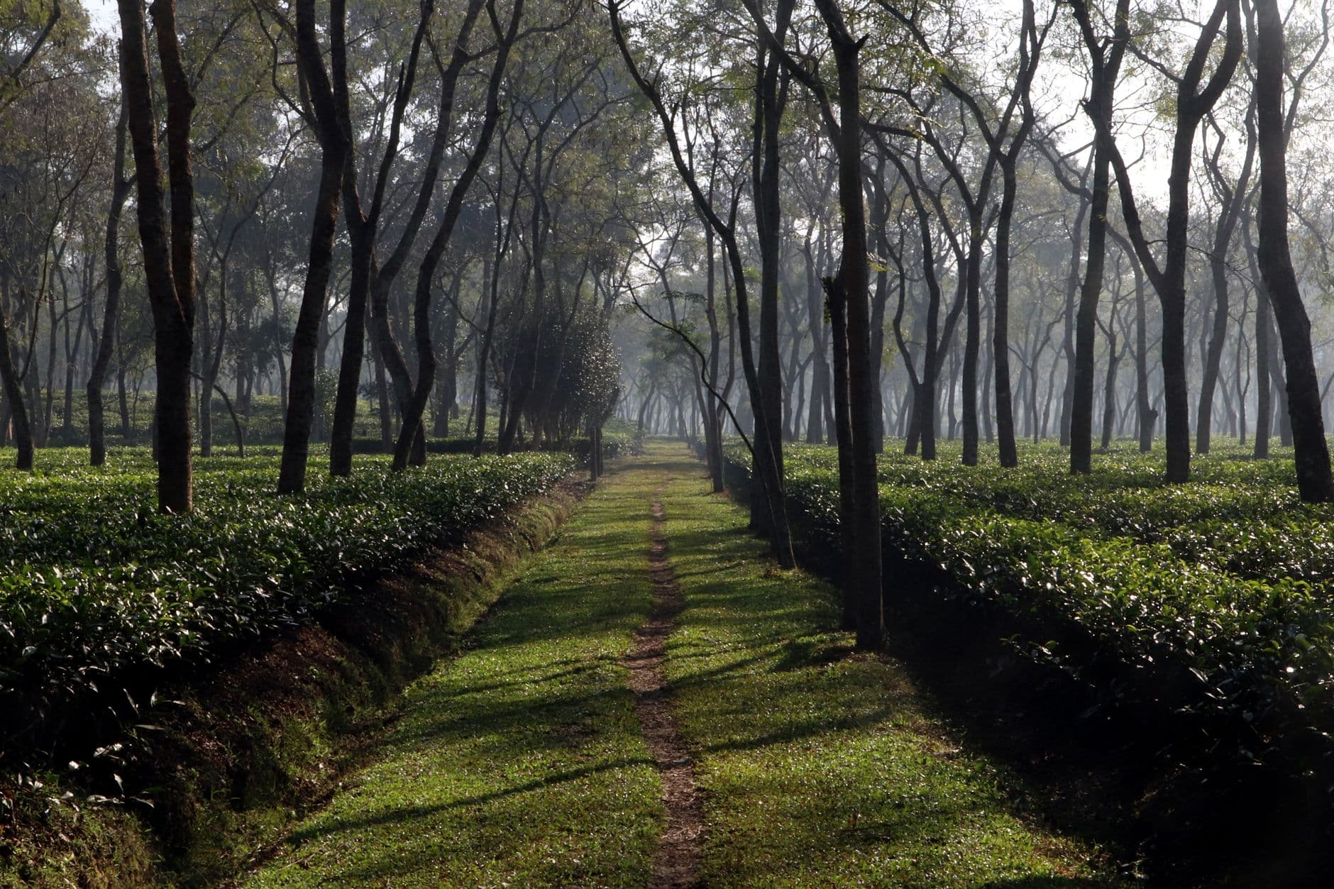 Sylhet